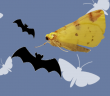 Mad about Moths Icon 002