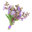 Become a Floral Artist
