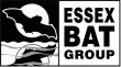 Essex Bat2