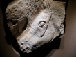PREHISTORIC IMAGE 2