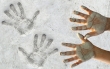 THE MARVELOUS CLAY CREATION WORKSHOP