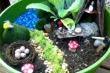 Fairy Garden