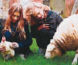day at the farm